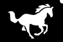 Picture of Horse Run Stencil - (5pc)