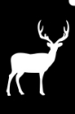 Picture of Antelope (Deer) - Stencil (5pc pack)