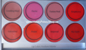 Picture of Mehron L.I.P. Cream Palette 8 Colours Medium  (48g)