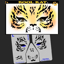 Picture of Kool Kat Stencil Eyes - 38SE - (8YRS and UP)