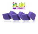 Picture of Splash Sponge - Pointed Petal - 6 Pack