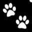 Picture of Emoji Paws - (5pc pack)