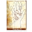 Picture of Henna Stencil 3 - Flower Swag - SOBA