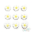 Picture of Daisy Gems - 14mm (9 pc.) (FG-AD4)
