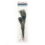 Picture of Real Peacock Feather 10''-14'' - (2pc)