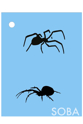 Picture of Crawling Spider Stencil - QEZ82