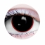 Picture of Primal Hellraiser I ( Black Colored Contact lenses ) 893