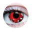 Picture of Primal Walking Dead II ( Red Colored Contact lenses ) 940
