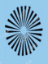 Picture of Spin Stencil - SOBA-18