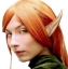 Picture of Woochie Large Elf Ears Latex Appliance (WO645)