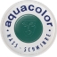 Picture of Kryolan Aquacolor Face Paint - Dark Green 095 (30 ml)